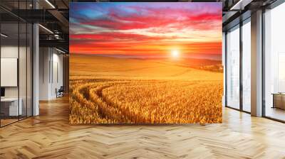 Impressive dramatic sunset over field of ripe wheat, colorful clouds in sky, crop season agricultures grain harvest Wall mural