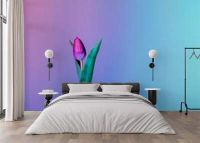 Purple tulip in a rainbow holographic glass vase on gradient background. bouquet of fresh flower on turquoise, pink background with colorful neon light and color shadows. Vertical. Selective focus. Wall mural