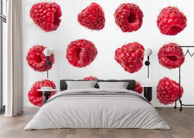  Fresh raspberry collection isolated on transparent background Wall mural