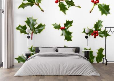 A collection of  green holly leaves with red berries for Christmas decoration isolated on transparent background Wall mural