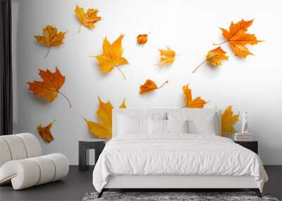 Autumn maple leaves falling isolated on white background
 Wall mural