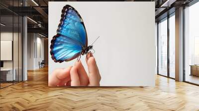 Beautiful blue butterfly sitting on finger isolated on white on white background Wall mural