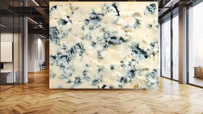 Blue cheese, dor blue or roquefort texture background Wall mural