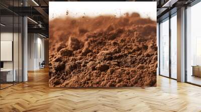 Brown ground background isolated on white background Wall mural