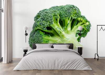 Close-up of fresh broccoli head isolated on a white background. Wall mural