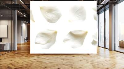 Collection of soft white flower petals isolated on transparent background Wall mural