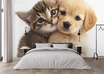 Cute little kitten and puppy sleeping together Wall mural