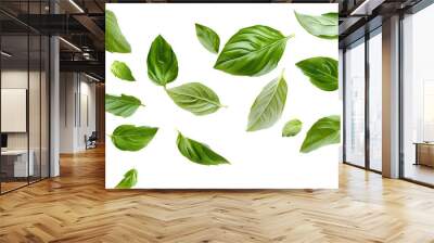 Falling basil leaves isolated on white background Wall mural