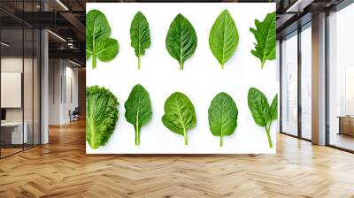 Fresh organic leafy greens, isolated on white background Wall mural