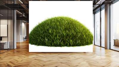 Grassy hill isolated on a white background. Grass sphere 3d rendering Wall mural