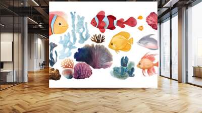 Group of coral reef fish, isolated on plain white Wall mural