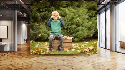 Halloween. Happy child at Halloween picnic. Emotion concept. The boy is in a good mood. Wall mural