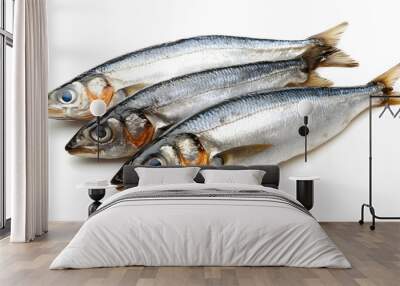 Herring fish isolated on white background
 Wall mural