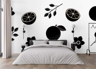 Set of orange fruits silhouettes with flowers and leaves. Botanical design elements, icons, shapes. Black outline illustrations isolated on transparent background Wall mural