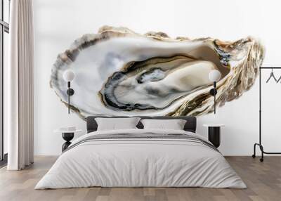 Oyster shell isolated on transparent background Wall mural