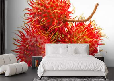 Rambutan isolated on a white background Wall mural