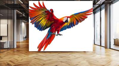 Scarlet macaw parrot flying isolated white background isolated Wall mural