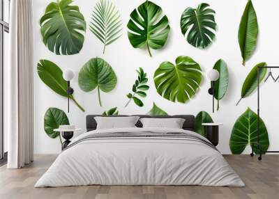 Set of Tropical leaves isolated on white background Wall mural