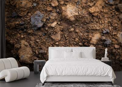 Soil texture background Wall mural