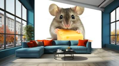 Tiny cute mouse holding a piece of cheese isolated on white background
 Wall mural