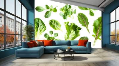 Various green salad leaves isolated on transparent background Wall mural