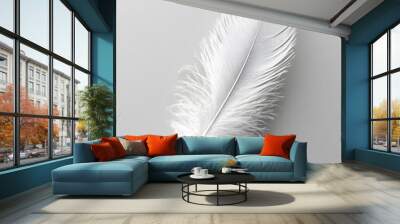 White fluffy feather isolated on light grey background	 Wall mural