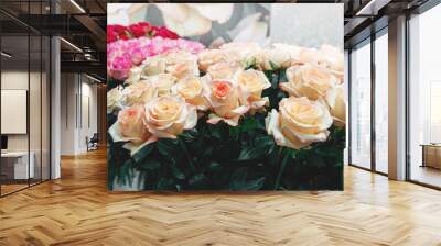 Bouquet of beautiful roses of two colors of pink roses with green petals in the center as a gift for birthday or mother's day closeup. Modern selection of pink varieties Wall mural