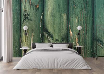 Green wooden background. the texture of wood on flat logs is green Wall mural