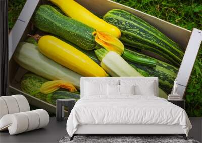 Fresh healthy green zucchini courgettes cucumber in brown wooden box Wall mural