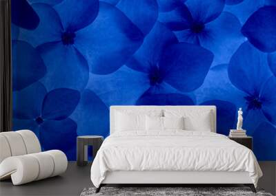 Blue hydrangea flower background close up as a pattern Wall mural