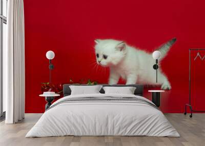 White British kitten and summer berries Wall mural