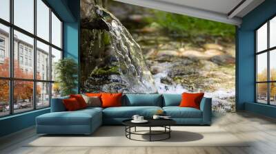 natural spring water Wall mural