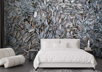 roasted sunflower seeds view Wall mural