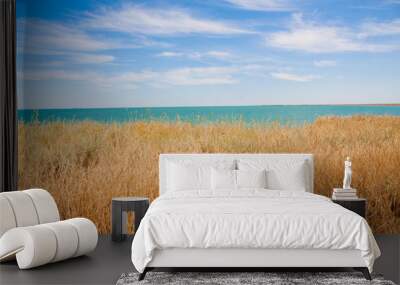 field and blue sky Wall mural