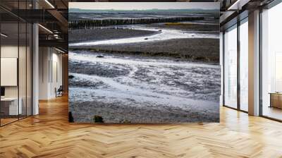 Wattenmeer im Winter Wall mural