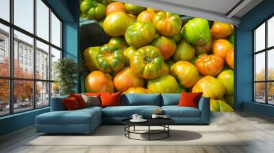 Fresh green tomatoes Wall mural