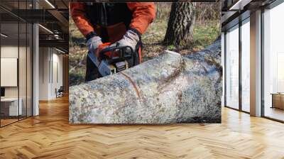 Sawing a big tree trunk Wall mural