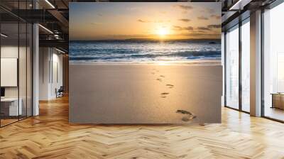 footsteps in the sand Wall mural