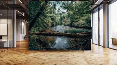 River in the woods - Great Smoky Mountains Bryson City, North Carolina Wall mural