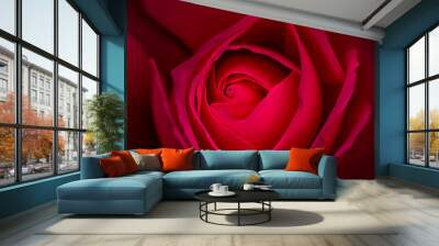 Abstract floral background, red rose flower petals. Macro flowers backdrop for holiday design. Soft focus Wall mural