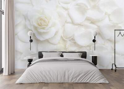 Beautiful white rose and petals on white background. Ideal for greeting cards for wedding, birthday, Valentine's Day, Mother's Day Wall mural