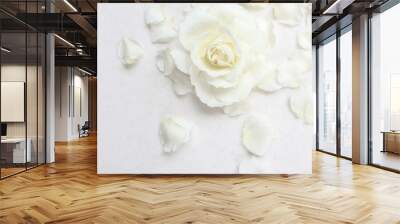 Beautiful white rose and petals on white background. Ideal for greeting cards for wedding, birthday, Valentine's Day, Mother's Day Wall mural