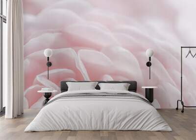 White rose flower petals.Abstract floral background. Soft focus Wall mural