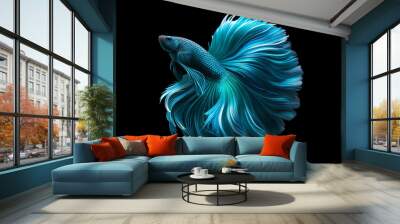 Blue Betta fish with flowing fins. Striking blue Betta fish displaying long, flowing fins against a black background, showcasing its vibrant colors and intricate details. Wall mural