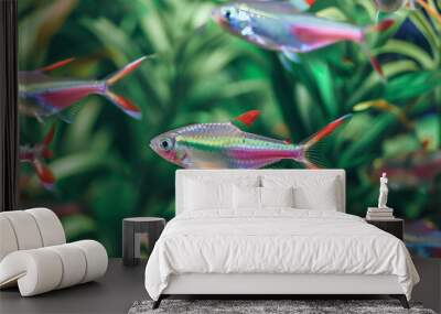 Neon Tetra Fish in Aquarium, Colorful Tropical Fish, Underwater Scene Wall mural