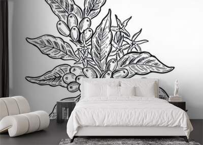 Coffee tree hand drawn illustration. Wall mural