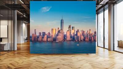 Manhattan Downtown Panorama Wall mural