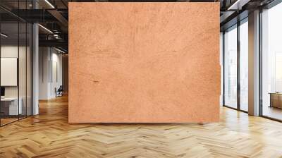 Terracotta plaster wall texture detailed close up Wall mural