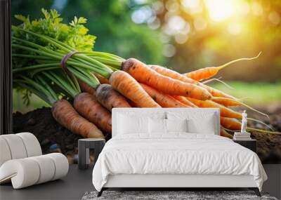 A pile of fresh organic carrots on soil outdoors Wall mural