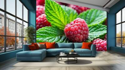 Close-up of fresh raspberries with dewdrops and a vibrant green leaf in the center Wall mural